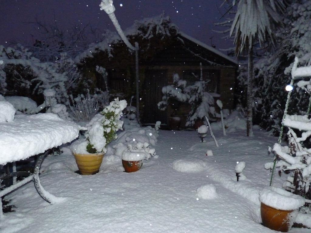 Snow 04 The Storm Returns